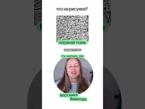полезные материалы в тгк @webium_bio #биология #егэ #егэ2027 #вебиум