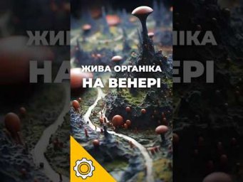 Сірчана кислота Венери не знищила органіку &mdash; вчені здивовані