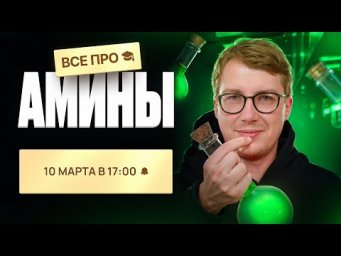 ВСЕ про амины | Органика с НУЛЯ | Степенин и Дацук