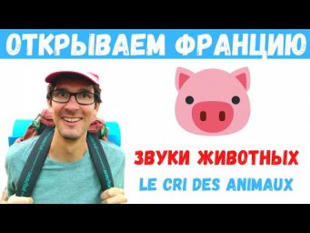 Открываем Францию I Звуки животных