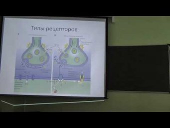 Физиология человека и животных. Лекция 6. Нейромедиаторы и ВНД. Зыбина А. М. edit