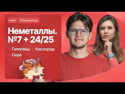 10. Химия неметаллов. Водород, галогены, кислород, сера | Полугодовой курс | Степенин и Дацук