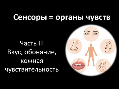 11.3 Сенсоры часть III (8 класс) - биология, подготовка к ЕГЭ и ОГЭ 2019