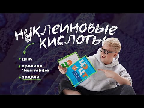 ДНК. ПРАВИЛА ЧАРГАФФА. ЗАДАЧИ | ЦТ, ЦЭ по Биологии | Ян Менделеев ДНК. ПРАВИЛА ЧАРГАФФА. ЗАДАЧИ | ЦТ, ЦЭ по Биологии | Ян Менделеев