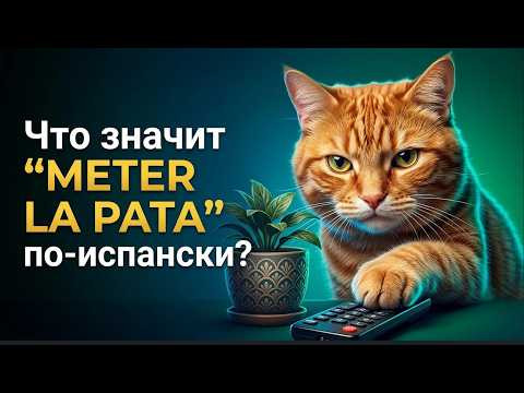 Что значит "Meter la pata" по-испански Что значит "Meter la pata" по-испански