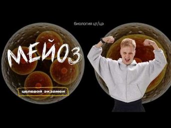 МЕЙОЗ | Целевой экзамен