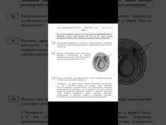 было же время... шпоры в закрепе тгк: webium_bio #биология #биологияегэ #химбио
