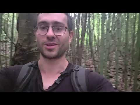 Exploring Paraguayan jungle