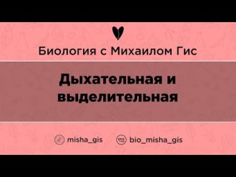 Дыхательная и выделительная  | ЕГЭ ОГЭ Биология с Михаилом Гис