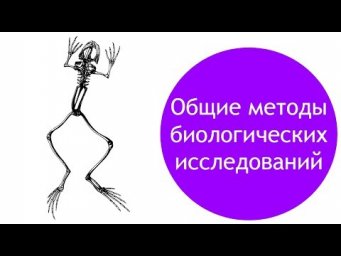 Общие методы биологических исследований