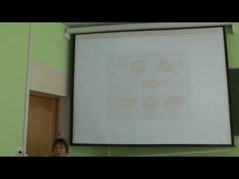 Генетика. Основы хромосомной теории наследственности. Нефедова Л. Н. edit