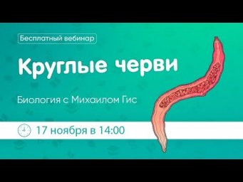 Круглые черви. ОГЭ|ЕГЭ биология