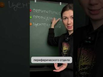 Знакомься &ndash; это ухо! С его строением ты уже наверняка знаком. А вот что такое слуховой анализатор? 