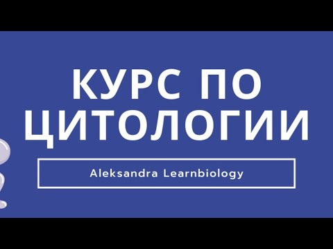 Курс по клетке второй урок