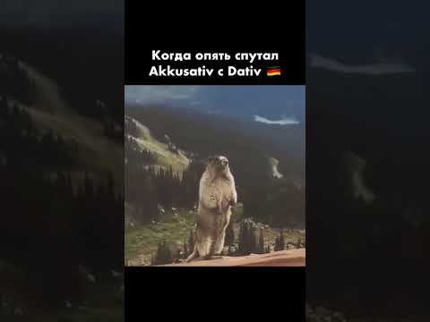 Ахахахха 