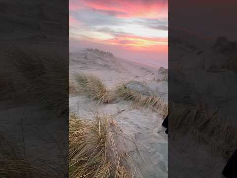 Dunas y el atardecer 