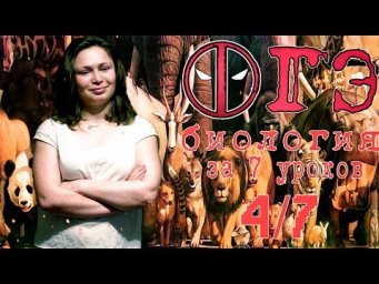 Все ОГЭ биология 2018 за 7 уроков. 4/7.