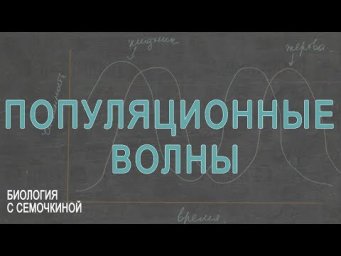 Популяционные волны
