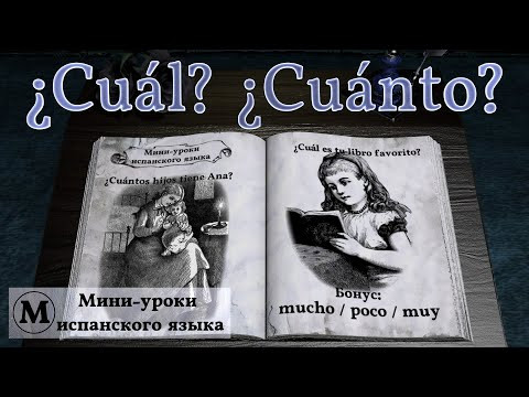 N&deg; 15: &iquest;Cu&aacute;nto? &iquest;Cu&aacute;l? Бонус: mucho / poco / muy