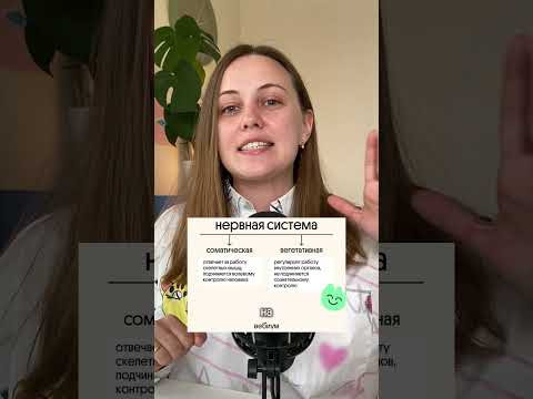 Нервная система за 1 минуту! 