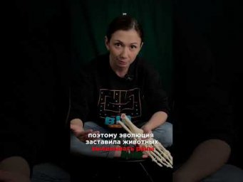 Почему мы тянем в рот поцарапанный палец? 