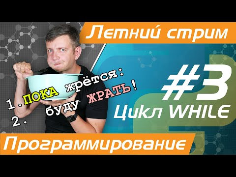 Летний стрим №3. Программирование на Python. Цикл WHILE. ЕГЭ по информатике - 2023 Летний стрим №3. Программирование на Python. Цикл WHILE. ЕГЭ по информатике - 2023