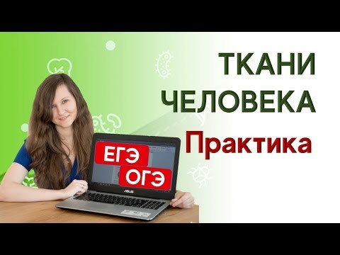Ткани человека Ткани человека