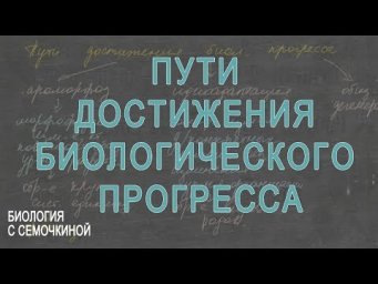 Пути достижения биологического прогресса