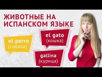 Животные на Испанском Языке. Дикие и домашние животные на испанском.