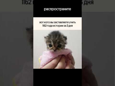 страшно жить в таком мире!! материалы для егэ в тгк: godunova_saharov #егэ2025 #история #историяегэ страшно жить в таком мире!! материалы для егэ в тгк: godunova_saharov #егэ2025 #история #историяегэ