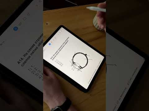 Строение глаза | Биология с Яном