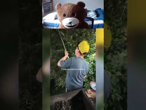 примерно этого я жду от всех своих друзей примерно этого я жду от всех своих друзей