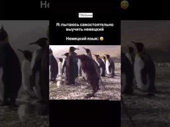 Напишите &laquo;5&raquo; , чтобы скачать  бесплатный чек-лист #deutschkurs