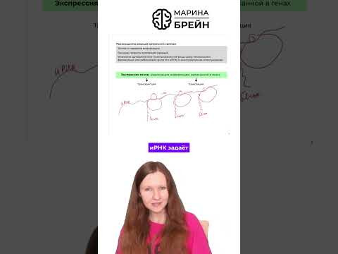 Кто шьёт наши белки тгк: Марина Брейн #егэ2027 #егэбиология