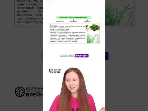 ты ПОТЕРЯЕШЬ БАЛЛ на этом  #биологияегэ  #биология #экологияегэ