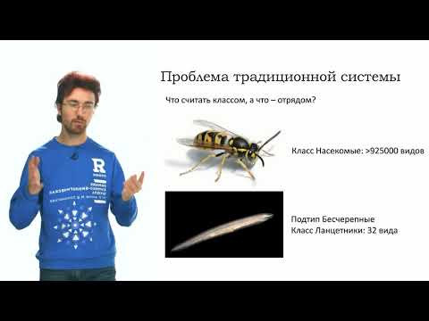 Биосистематика. Основы современной системы живого мира. Часть 1 (Алкин Н. А.) Биосистематика. Основы современной системы живого мира. Часть 1 (Алкин Н. А.)