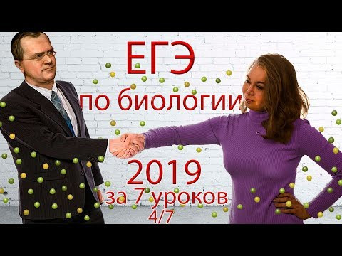 ЕГЭ биология 2019 за 7 уроков. 4/7 (законы Менделя, зародышевые листки)