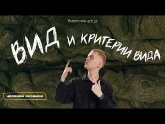 ВИД И КРИТЕРИИ ВИДА | Целевой экзамен