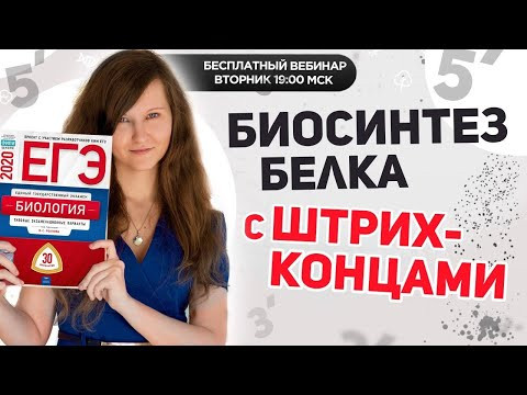 Новый тип задач № 27 | ЕГЭ по биологии Новый тип задач № 27 | ЕГЭ по биологии