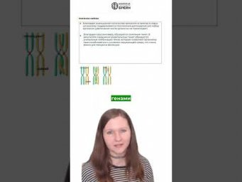 ПОЧЕМУ ДЕТИ НЕ КОПИИ  тгк: Марина Брейн #егэ2027 #егэбиология