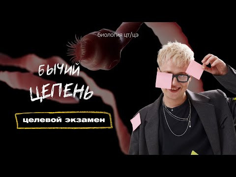 ТИП ПЛОСКИЕ ЧЕРВИ. БЫЧИЙ ЦЕПЕНЬ | Целевой экзамен