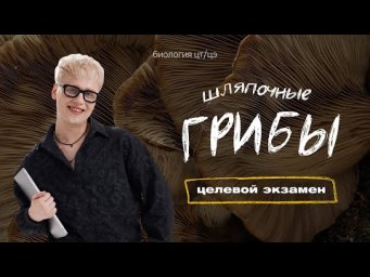 ШЛЯПОЧНЫЕ ГРИБЫ | Целевой экзамен