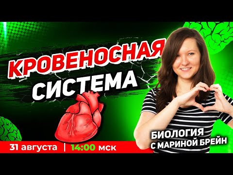 КРОВЕНОСНАЯ СИСТЕМА | ПРОБНАЯ МАСТЕР-ГРУППА. День 3
