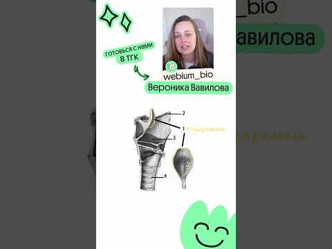 Это попадется тебе на ЕГЭ! ❤️
