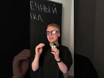 Сердечный цикл |  Биология с Яном
