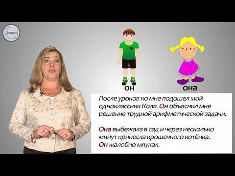 Русский язык Личные местоимения 1 2 3 лица