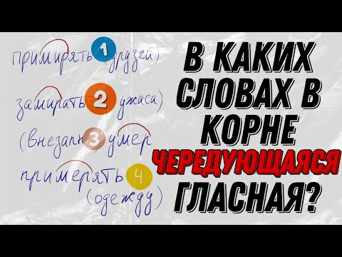 МИР/МЕР – как найти чередующиеся корни? МИР/МЕР – как найти чередующиеся корни?