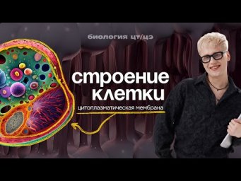 СТРОЕНИЕ КЛЕТКИ ЗА 10 МИНУТ | Цитоплазматическая мембрана | ЦТ, ЦЭ