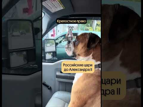Если не замечать проблему, то она уйдет Если не замечать проблему, то она уйдет