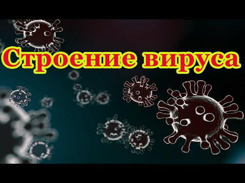 Строение вируса